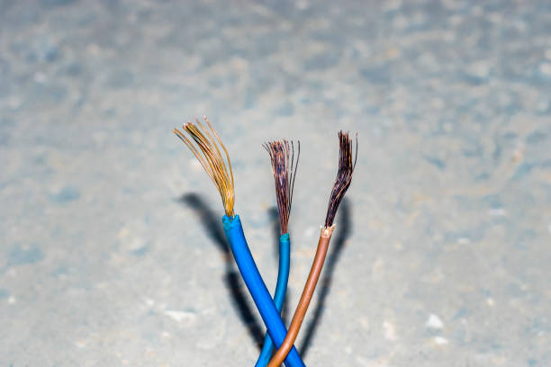 istock nacked or striped an electric cables 1151009732