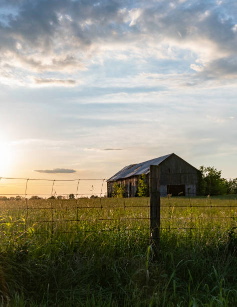 Scenic old barn in a field - vertical Vertical image of an old barn in a hay field during golden hour with a wooden post and wire fence in the foreground and negative space above for copy. hay field stock pictures, royalty-free photos & images