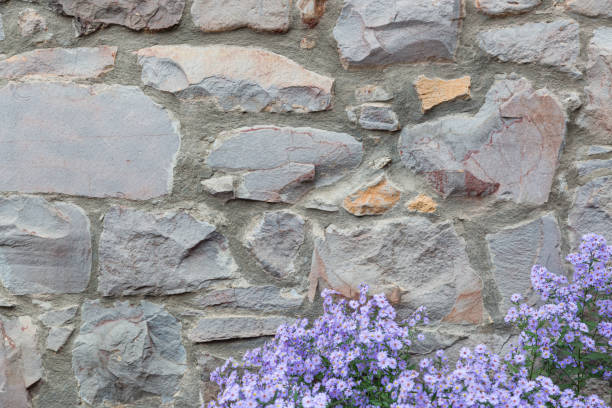Old Stone Wall With Flowers Background Texture.