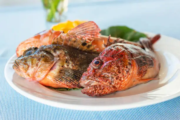 freshly caught scorpionfish on the island of Panarea in Sicily