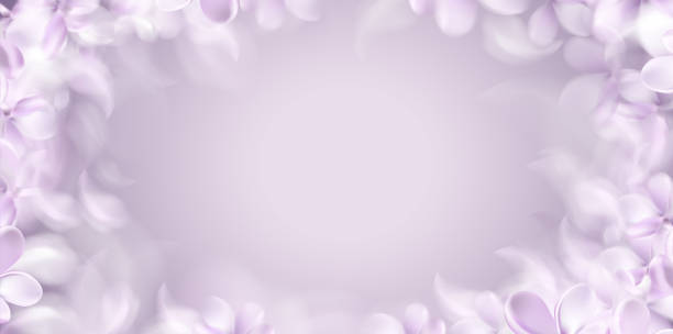 weicher frühlingshintergrund mit lila blurierten blütenblättern - backgrounds pink flower softness stock-grafiken, -clipart, -cartoons und -symbole