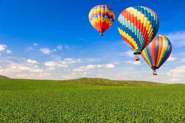 hot air balloons over lush green landscape and blue sky - grass area field air sky imagens e fotografias de stock
