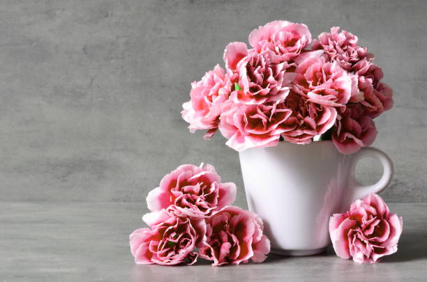 istock Pink carnation flowers in cup on grey background. 1151025876