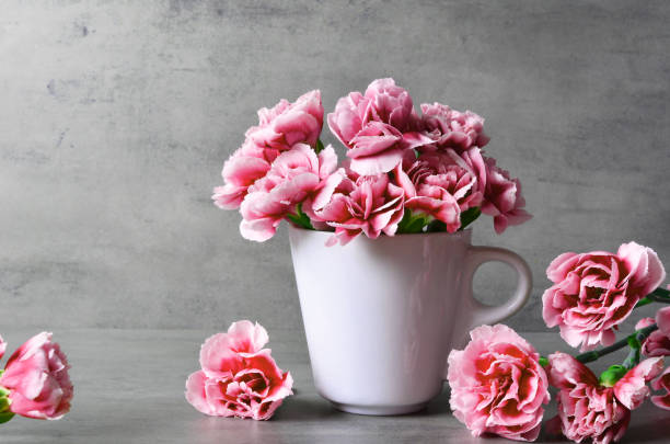 istock Pink carnation flowers in cup on grey background. 1151025885