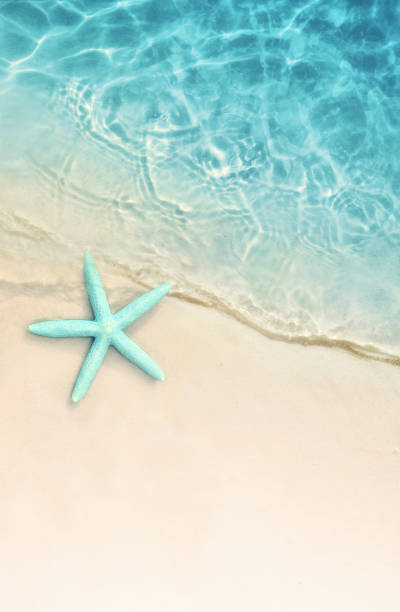 istock Starfish on the summer beach. Summer background. Tropical sand beach 1151025974