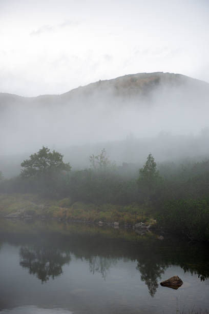 misty and cloudy sunrise above green fields and forests with wet weather