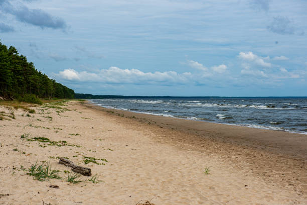 istock empty sea beach in summer with waves and broken clouds 1151026496
