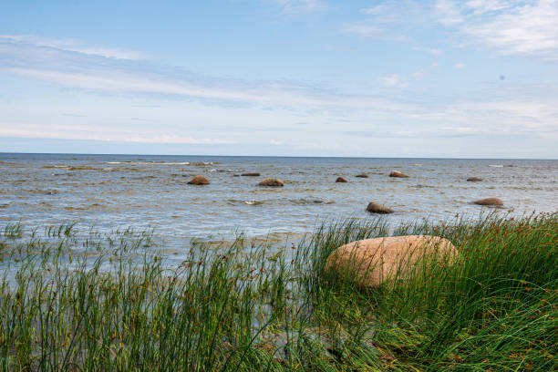 istock empty sea beach in summer with waves and broken clouds 1151026540