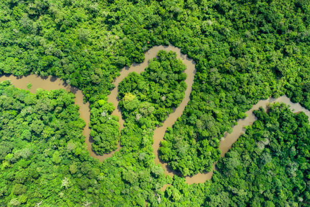 Meandering jungle river in the rainforest of the Congo Basin Aerial view of an meandering jungle river in the rainforest of the Congo Basin. Odzala National Park, Republic of Congo. democratic republic of the congo stock pictures, royalty-free photos & images