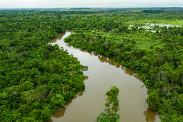 istock Aerial view of a jungle river in the rainforest, Congo Basin 1151029376