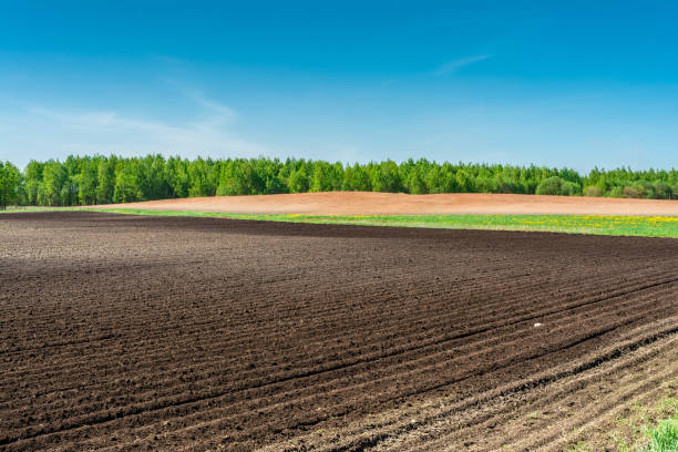 istock Aerial view over the agricultural fields spring time. 1151029438