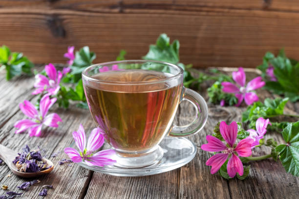 una taza de té de malta con malva sylvestris de floración fresca - mallow fotografías e imágenes de stock