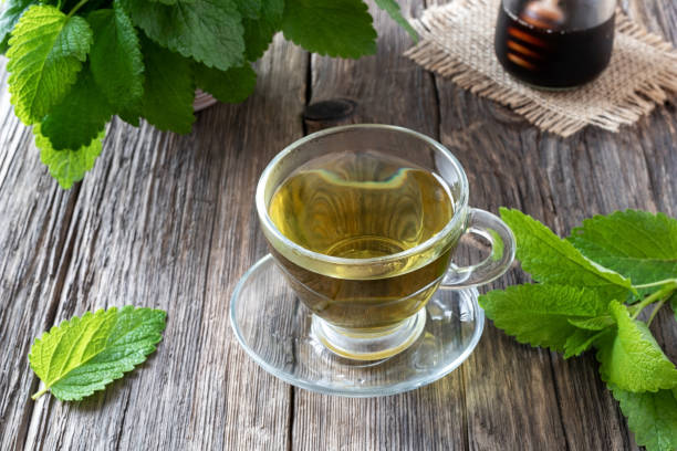 istock A cup of melissa tea with fresh melissa 1151029826
