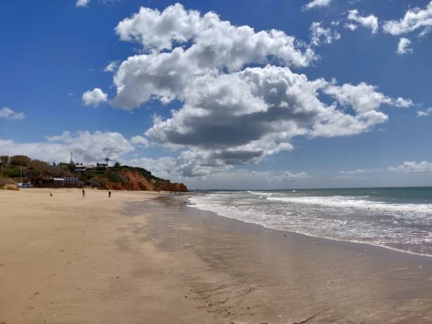 Albufeira beach water's edge. stock photo