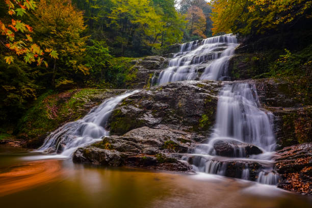 istock Autumn colors with waterfall and leaves 1151043523