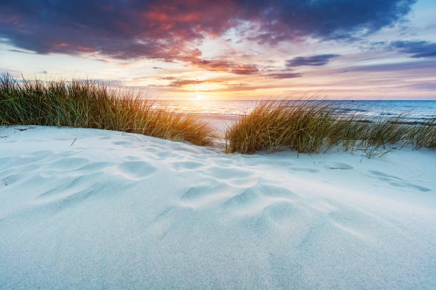 istock Grassy dunes and the Baltic sea at sunset 1151043619