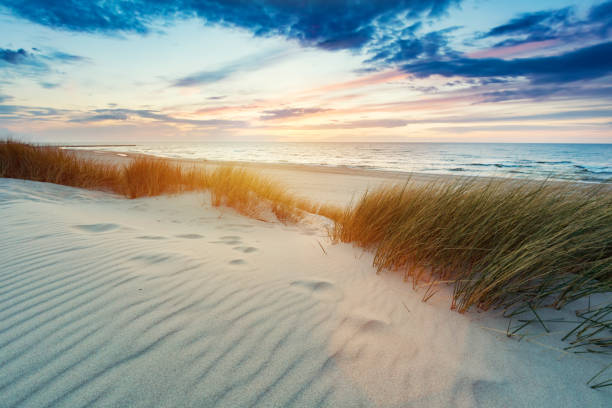 istock Grassy dunes and the Baltic sea at sunset 1151044503