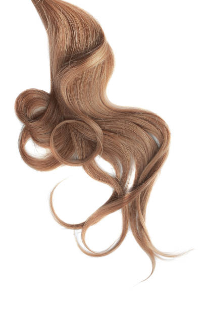istock Curly brown hair isolated on white background. Circle shaped 1151046348