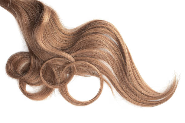 istock Curly brown hair isolated on white background. Circle shaped 1151046356