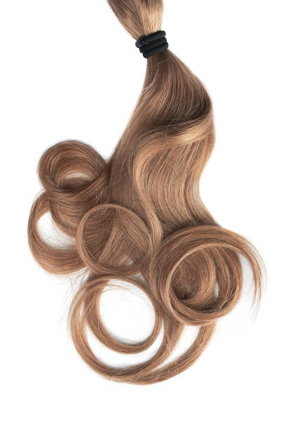 istock Curly brown hair isolated on white background. Circle shaped 1151046357