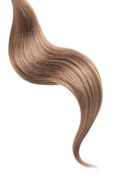 istock Brown hair isolated on white background. Long wavy ponytail 1151046373