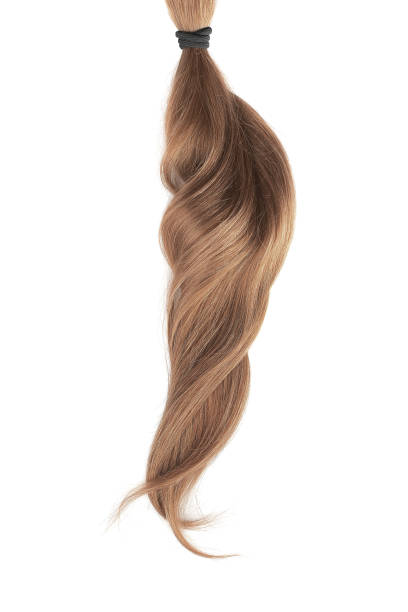 istock Brown hair isolated on white background. Long wavy ponytail 1151046448