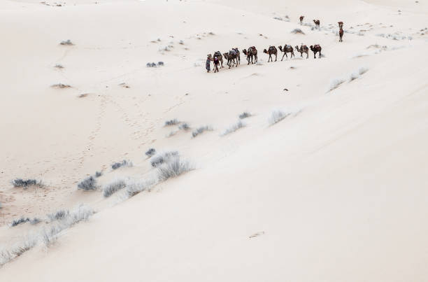 istock Caravan going through the sand dunes in the Sahara Desert 1151047316