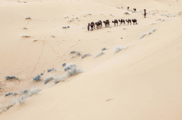 istock Caravan going through the sand dunes in the Sahara Desert 1151047389