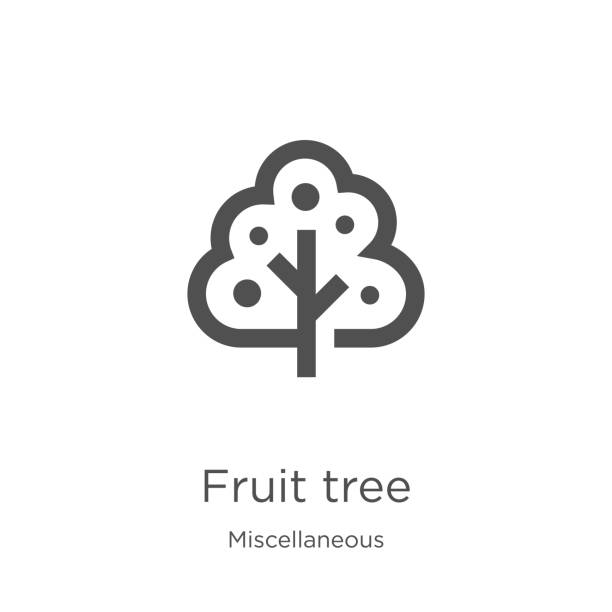 ilustraciones, imágenes clip art, dibujos animados e iconos de stock de vector de icono de árbol de frutas de la colección miscelánea. línea delgada árbol de frutas esquema icono vector ilustración. contorno, icono de árbol de frutas de línea delgada para el diseño de sitios web y móviles, desarrollo de aplicaciones - árboles frutales