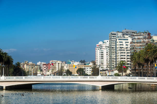 istock Bridge and Estuary in Vina del Mar 1151047578