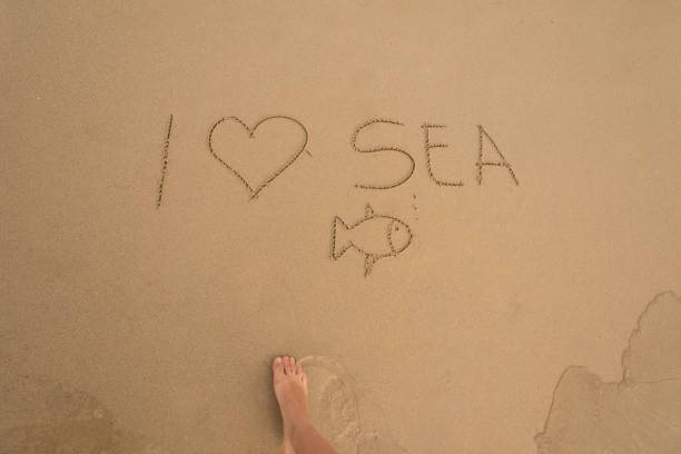 istock Handwritten in the sand on the beach 1151048494