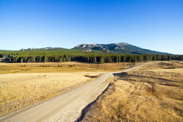 istock Bighorn Mountains and Dirt Road 1151049555