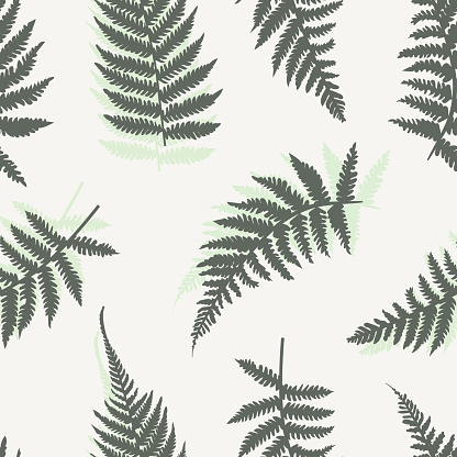 Seamless vector background with different fern leaves.