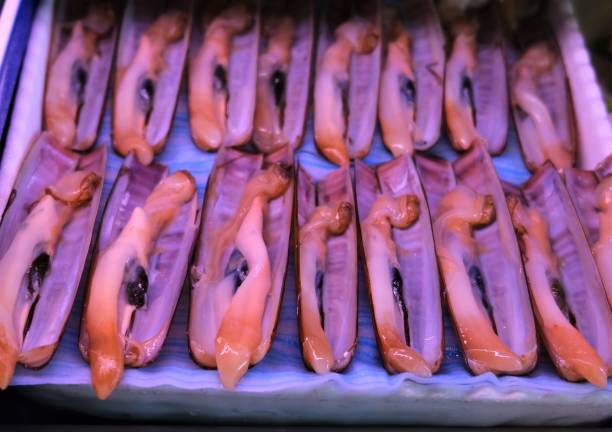 istock Various close ups fresh fish on display Benalmadena, Spain 1151051816