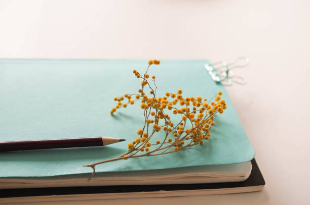 istock notebooks and pencil and flower are on the table 1151051957