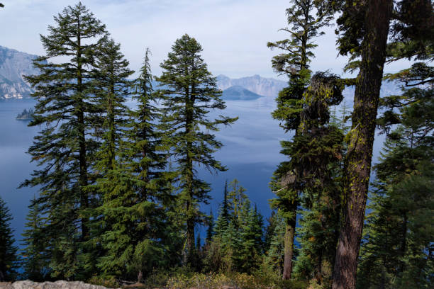istock Crater Lake seen through trees 1151053720