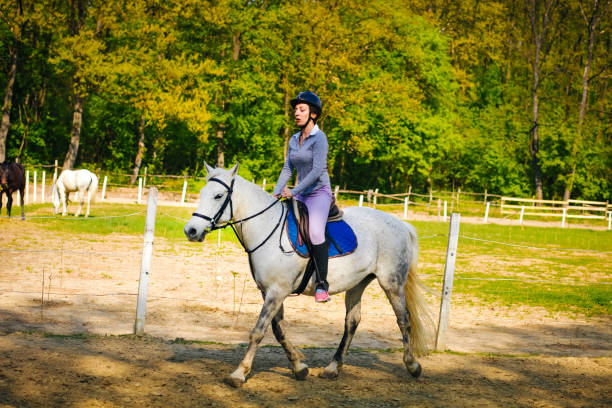 istock Woman practicing with her horse outdoors 1151054212