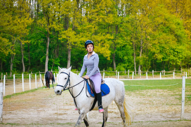 istock Woman practicing with her horse outdoors 1151054231