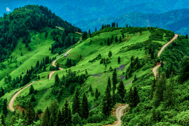 Mountain and forest in various green colors in Turkey