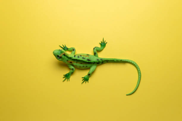 istock Green lizard toy on bright yellow background. Minimal art concept. 1151055570