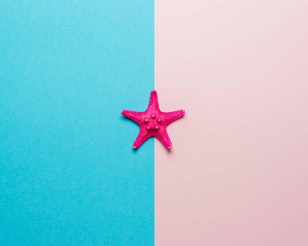 istock Creative composition with red starfish on bright background. Summer minimal concept. 1151055600