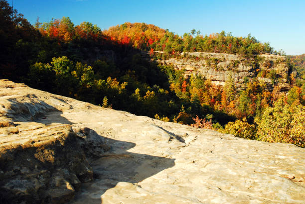 istock Autumn in Natural Bridges State Park, Kentucky 1151063679