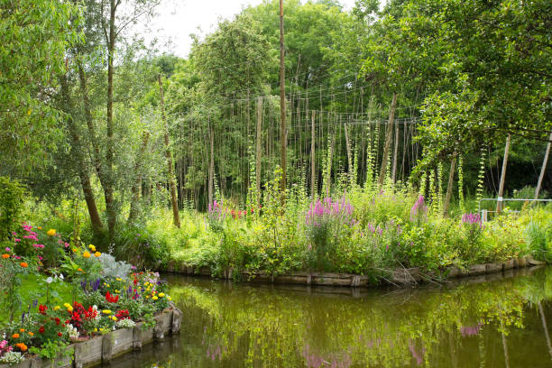 istock The Hortillonnages of Amiens 1151066446