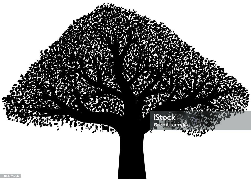 Black vector of oak tree Vector illustration of a black oak or mango tree. Mango Tree stock vector