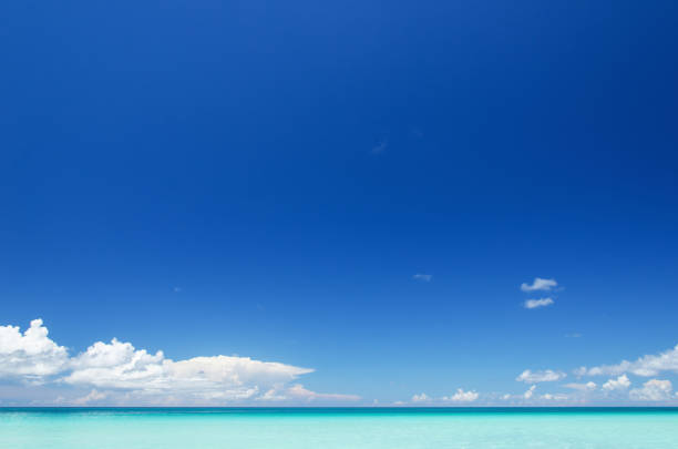 istock Beautiful tropical seascape and clear sky background 1151077358