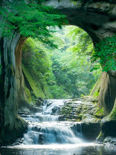 shimizu mountain stream square (kameiwa cave) - flowing nature leaf tree - fotografias e filmes do acervo