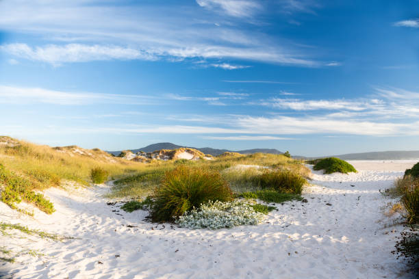 ケープタウン南アフリカの noordhoek ビーチ砂丘の風景 - cape town south africa sand dune beach ストックフォトと画像