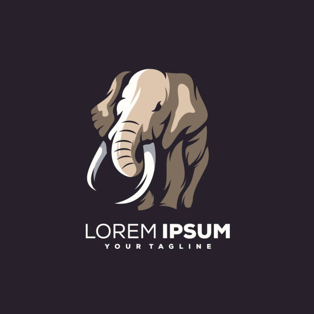 elephant logo design elephant logo design elephant logo stock illustrations