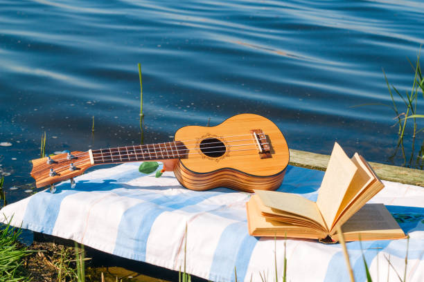 hawaiian guitar and open book, picnic on the lake and summer vacation concept