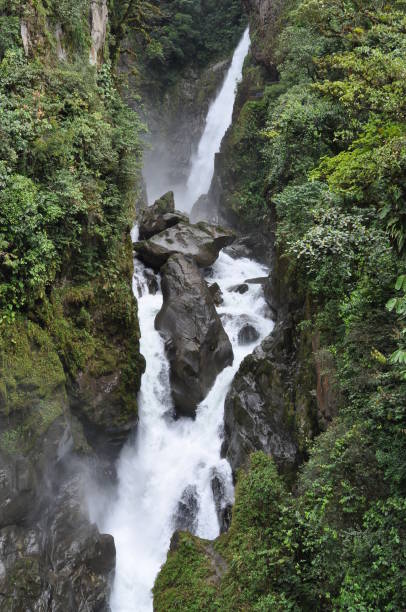istock Pailon, United Kingdom 1151100109